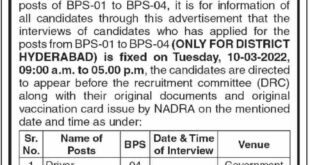 Government of Sindhi Jobs